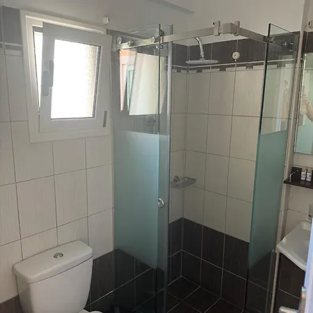 Palm Trees فندق *