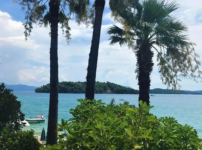 Palm Trees * نيدري