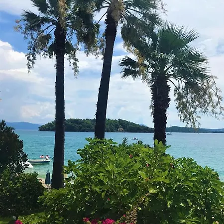 Palm Trees * 奈德里