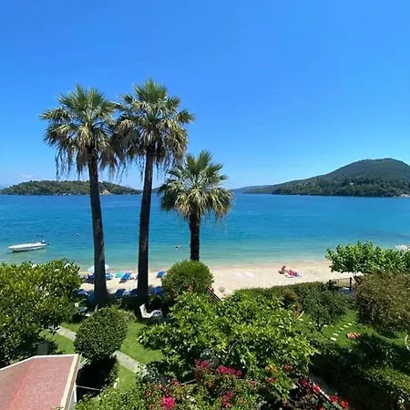 Palm Trees * 奈德里
